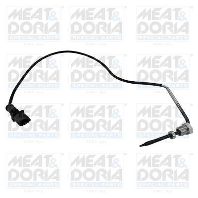 Sensor, exhaust gas temperature